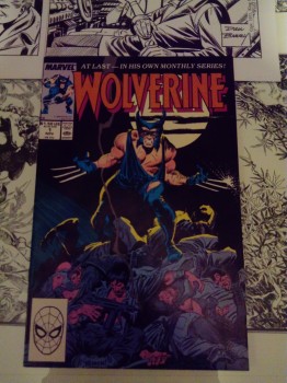 Wolverine 1.jpg