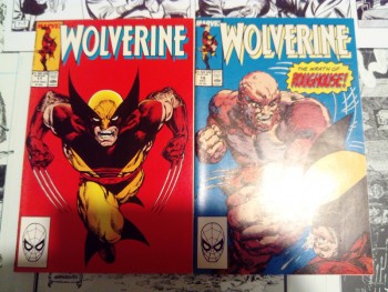 Wolverine 17-19.jpg