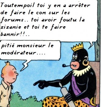 tintin a suivre072 (2).jpg