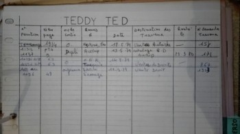 teddyted.jpg