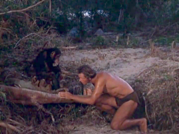 Tarzan50-1.png