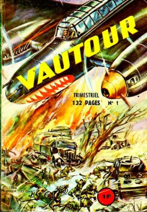 Vautour1.jpg
